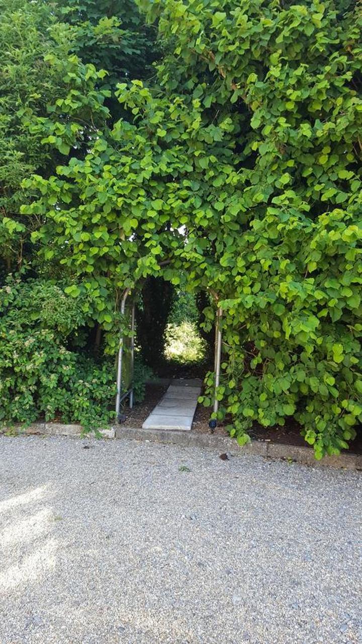 Brookvale Bed & Breakfast Wellingtonbridge